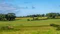 A view of rolling English countryside in summer. Royalty Free Stock Photo