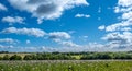 A view of rolling English countryside in summer. Royalty Free Stock Photo