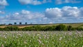A view of rolling English countryside in summer. Royalty Free Stock Photo
