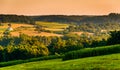 View of rolling hills and farm fields at sunset, in rural York C Royalty Free Stock Photo