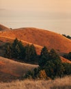 View of rolling hills at sunset, from Mount Tamalpais, California Royalty Free Stock Photo