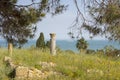 View of roman era ruins, Carthage, Tunisia Royalty Free Stock Photo