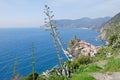 View on roof landscape and castle of Vernazza, village in the Cinque Terre, Liguria Italy