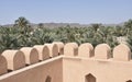 Desert Oasis with Palm Trees from Nizwa Castle Royalty Free Stock Photo