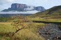 A view of the Roraima Mountain in Venezuela Royalty Free Stock Photo
