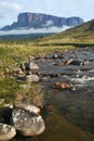 A view of the Roraima Mountain in Venezuela Royalty Free Stock Photo