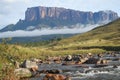 A view of the Roraima Mountain in Venezuela Royalty Free Stock Photo