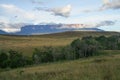 A view of the Roraima Mountain in Venezuela Royalty Free Stock Photo