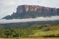 A view of the Roraima Mountain in Venezuela Royalty Free Stock Photo