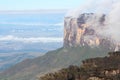 A view of the Roraima Mountain in Venezuela Royalty Free Stock Photo