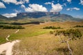 View of Roraima table mountain, La Gran Sabana, Canaima National Park, Venezuela