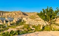 Rose Valley at Goreme National Park in Turkey Royalty Free Stock Photo