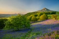 Roseberry Topping during summer Royalty Free Stock Photo