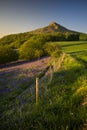 Roseberry Topping during summer Royalty Free Stock Photo