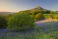 Roseberry Topping during summer Royalty Free Stock Photo