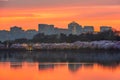 View of Rosslyn, Arlington, Virginia, USA from the tidal basin in Washington DC at Dusk Royalty Free Stock Photo