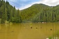 View of Rosu Lake, Romania