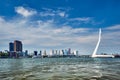 View of Rotterdam over Nieuwe Maas with Erasmusbrug bridge. Rottherdam, the Netherlands