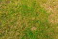 View of rough natural soil. Yellow sand and green grass texture background Royalty Free Stock Photo