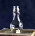 CLEAR GLASS BOTTLE WITH FLOWER ON OLD BOOKS