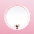 View from round window, flowers, pastel pearl pink wall Royalty Free Stock Photo