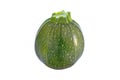 Round zucchini isolated on a white background Royalty Free Stock Photo