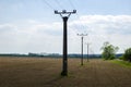 A view of a row of columns of a power line column in a landscape with trees with a field Royalty Free Stock Photo