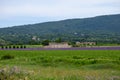 View on rows of blossoming purple lavender, green fiels and Lacoste village in Luberon, Provence, France in July