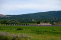 View on rows of blossoming purple lavender, green fiels and Lacoste village in Luberon, Provence, France in July