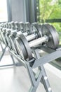 View of rows of dumbbells