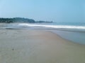 View of rows of trees and beach waves seen from the sandy beach, with a blue sky as a background.