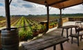 A view of rows of vines in a vineyard from a villa balcony with wooden tables and chairs Royalty Free Stock Photo