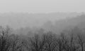 View From Ruffner Mountain on a Foggy Day