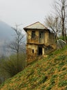 View of a ruined and strange house in the middle of the forest