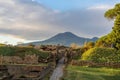 view of the ruins of the ancient city of Pompeii with Mount Vesuvius volcano in the background