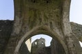 View of the ruins of the former Dunbrody Abbey