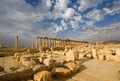 View of the ruins of Palmyra