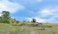 View of ruins with trees on a hill