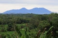 View Rural Agricultural and landscape in Sukabumi, West Java Indonesia