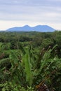 View Rural Agricultural and landscape in Sukabumi, West Java Indonesia