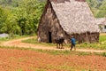 View of the rural hut in Vinales, Pinar del Rio, Cuba. Close-up.