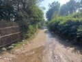 view of a rural Indian landscape