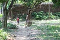 View of rural Indian village lifestyle in West Bengal, India