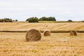 View of a rural landscape with round bales of hay on a sunny day Royalty Free Stock Photo