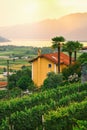 View of rural Southern Switzerland with houses, farms, vineyards, alps mountains and Lake Maggiore