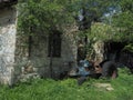 Rusty old tractor outside abandoned stone farm building Royalty Free Stock Photo