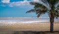 A view of Ruwais desert in Abu dhabi during winter season, ice on desert Royalty Free Stock Photo