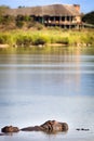 View of the Sabie Sand River