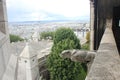 View from SacrÃÂ© Coeur onto the roofs of Paris, a stone gargoyle and the Eiffel tower