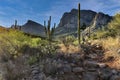 Distant hiker on Linda Vista trail in the Santa Catalina Mountains Tucson Arizona USA Royalty Free Stock Photo